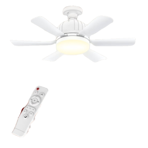 ceiling fan